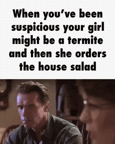 Termite House GIF