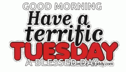 Terrific Humor Good Morning Tuesday GIF