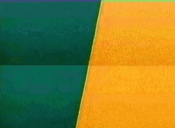 Terrific Thankful Tuesday GIF