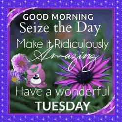 Terrific Tuesday Lilac Carnation Digital Art GIF
