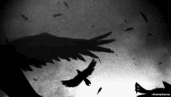 Terror Black Sky With Birds GIF