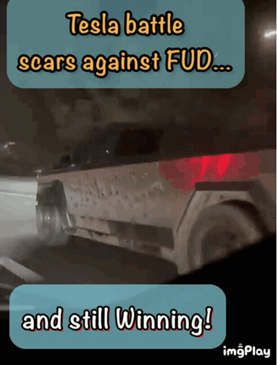 Tesla Battle Scars Against Fud GIF
