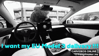 Tesla I Want My EU Model 3 Delivery GIF