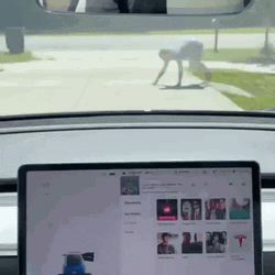 Tesla Vision Guy Crawling GIF
