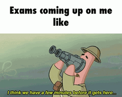 Test Day Patrick Star Meme GIF