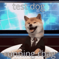 Test Dog Running Rbag GIF