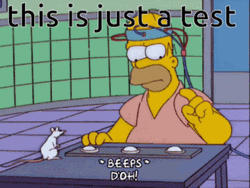 Testing Mouse Bit Him Homer Simpson Doh  GIF