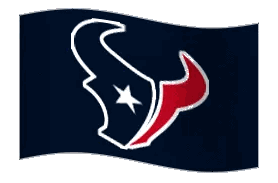 Texans Logo On Blue Flag Sticker