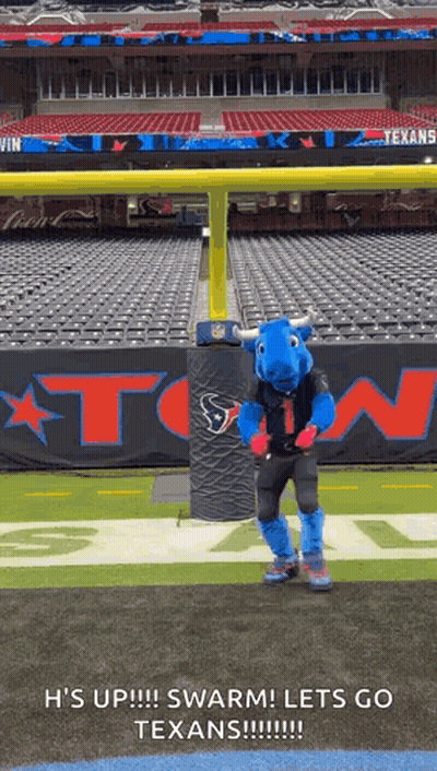 Texans Mascot Standing On Field GIF