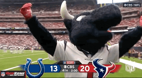 Texans Nodding Mascot GIF