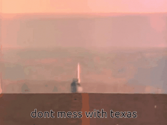 Texas Airplane Don't Mess With It GIF