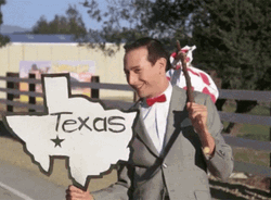 Texas Banner Of Paul Reubens GIF