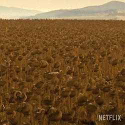 Texas Chainsaw Hide And Seek Creepy GIF