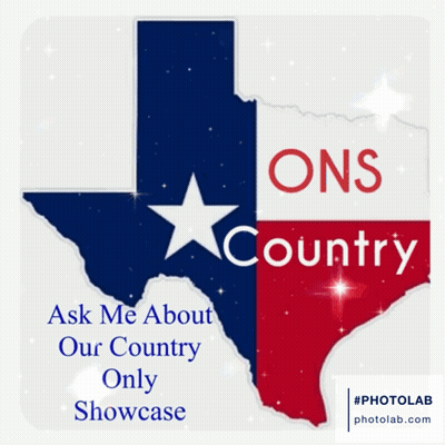 Texas Flag Ask Me About Our Country GIF