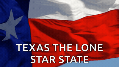 Texas Flag Lone Star State GIF