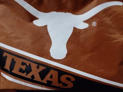 Texas Flag With Bull Silhouette GIF