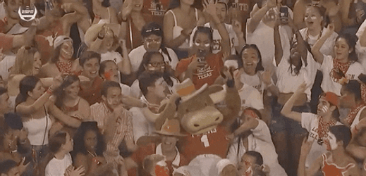 Texas Longhorns Lifted Up Mascot GIF