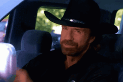 Texas Ranger Chuck Norris GIF