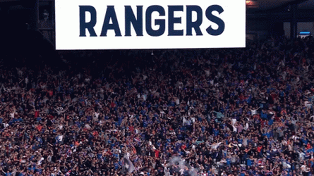 Texas Rangers Fans GIF