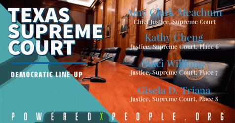 Texas Supreme Court GIF