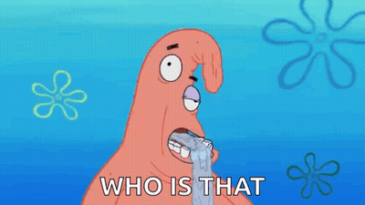 Text Message Saying Who The Hell Typing GIF