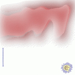 Text Transition Hello Monday GIF