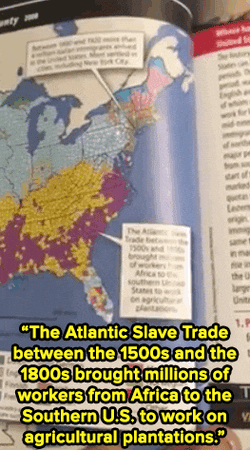 Textbook About Slavery GIF