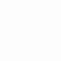 Tg SEO Animation GIF