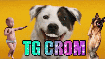 Tg Smiling Dog GIF