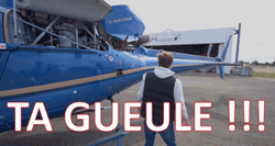 Tg Sylvain Vilebrequin Beside Plane GIF