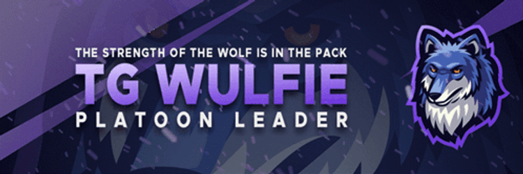 Tg Wulfie Platoon Leader GIF