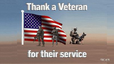 Thank A Veteran For Their Service Poster GIF