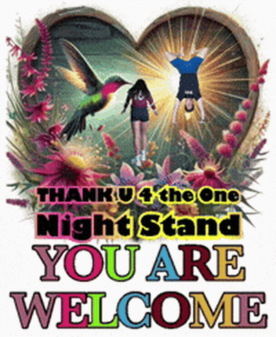 Thank U 4 The One Night Stand You Are Welcome Poster GIF