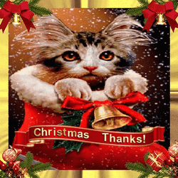 Thank You And Merry Christmas Cute Kitten GIF