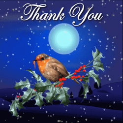Thank You And Merry Christmas Night Sticker GIF
