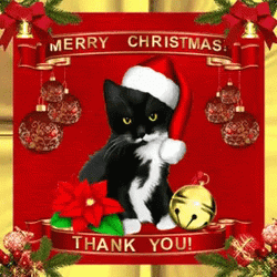 Thank You And Merry Christmas Santa Cat GIF