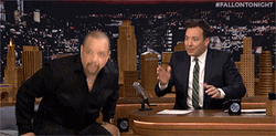 Thank You Bow GIF