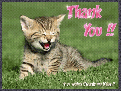 Thank You Card With Laughing Kitten GIF