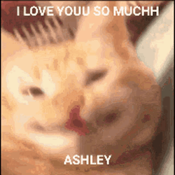 Thank You Cat Ashley Ginger GIF
