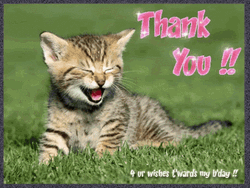Thank You Cat Best Wishes GIF