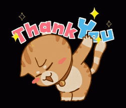 Thank You Cat Bowing Down GIF