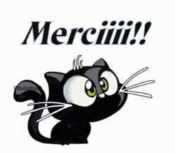 Thank You Cat Merci Meow GIF
