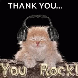 Thank You Cat You Rock GIF