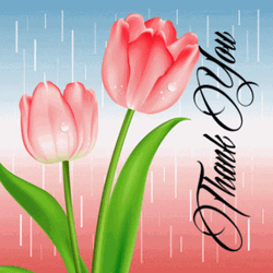 Thank You Clipart Red Flowers GIF