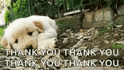 Thank You Cute Crawling In Dirt Puppy  GIF
