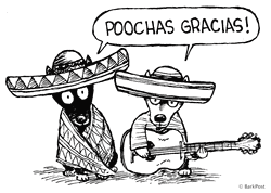 Thank You Cute Mexican Pooches Illustration