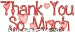 Thank You For All You Do For Everything GIF