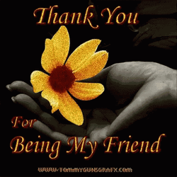 Thank You For Being A Friend GIF
