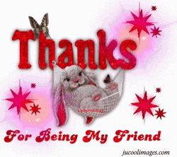 Thank You For Being A Friend GIF