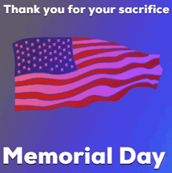 Thank You For Your Service Memorial Day Flag GIF